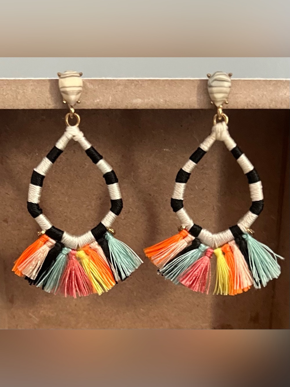 Fringe Tassel Drop Earrings